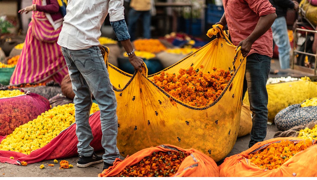 The flower market in Jaipur, India.