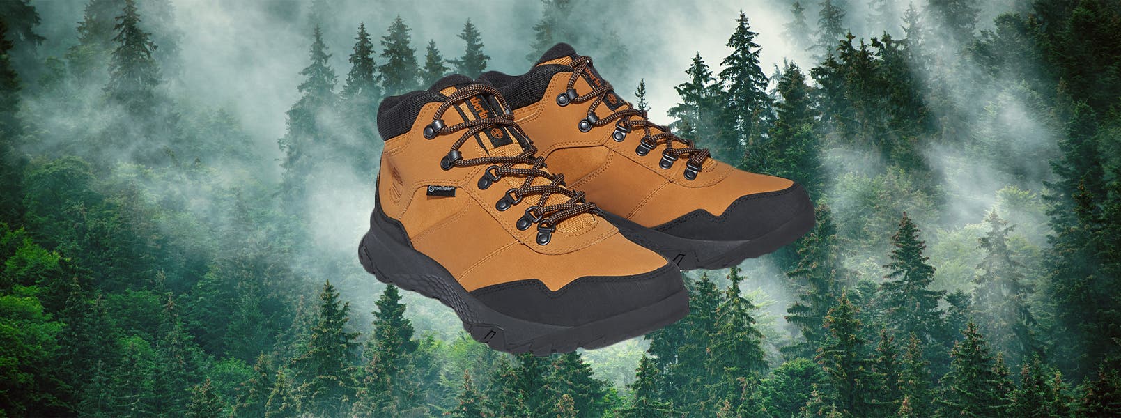 Hiking Shoes vs. Boots What's the difference