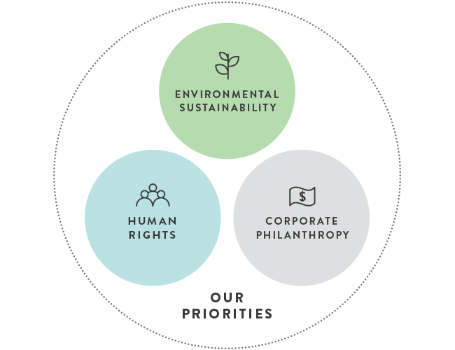 Goals & Impact Areas