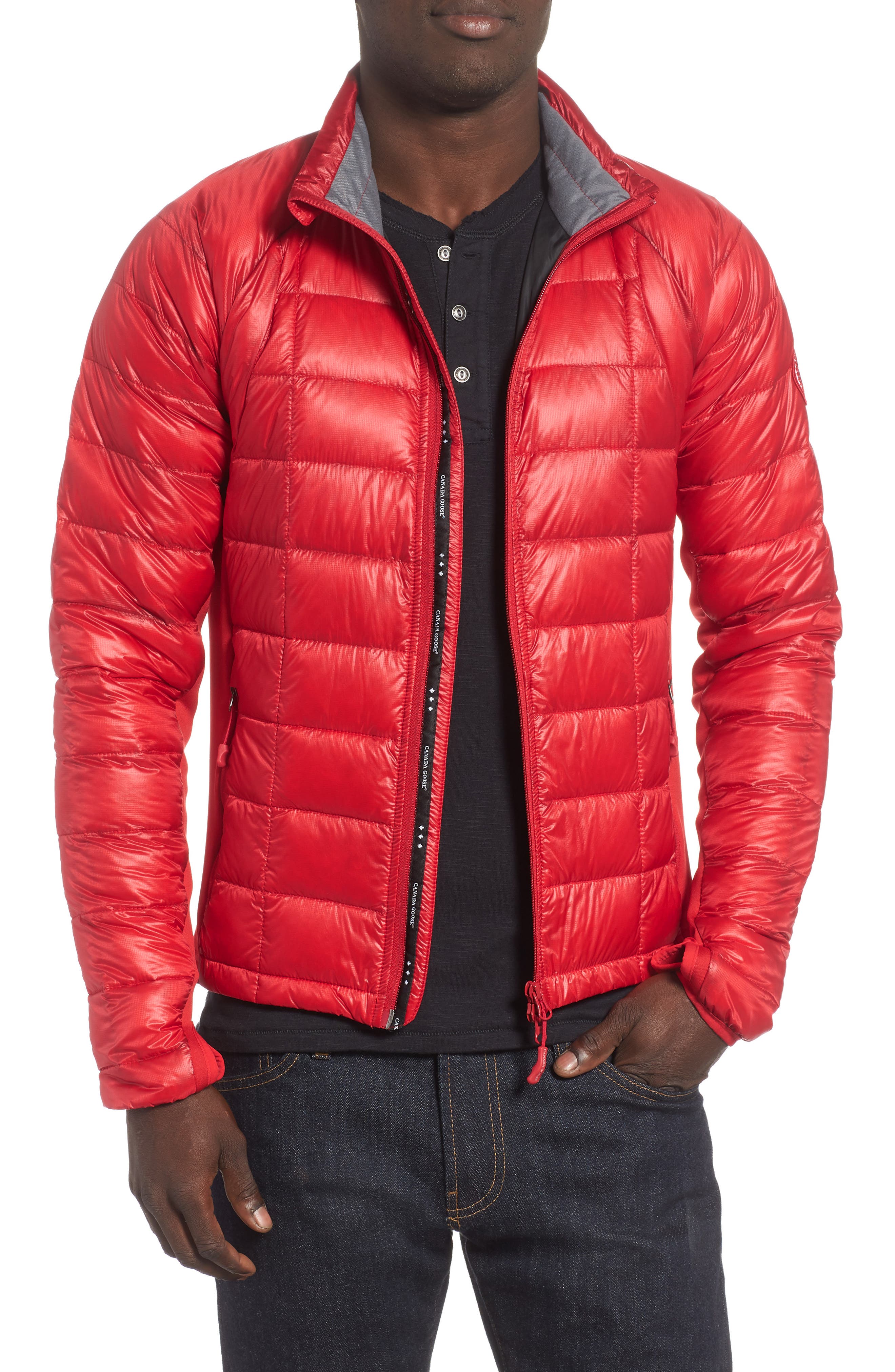 Canada Goose