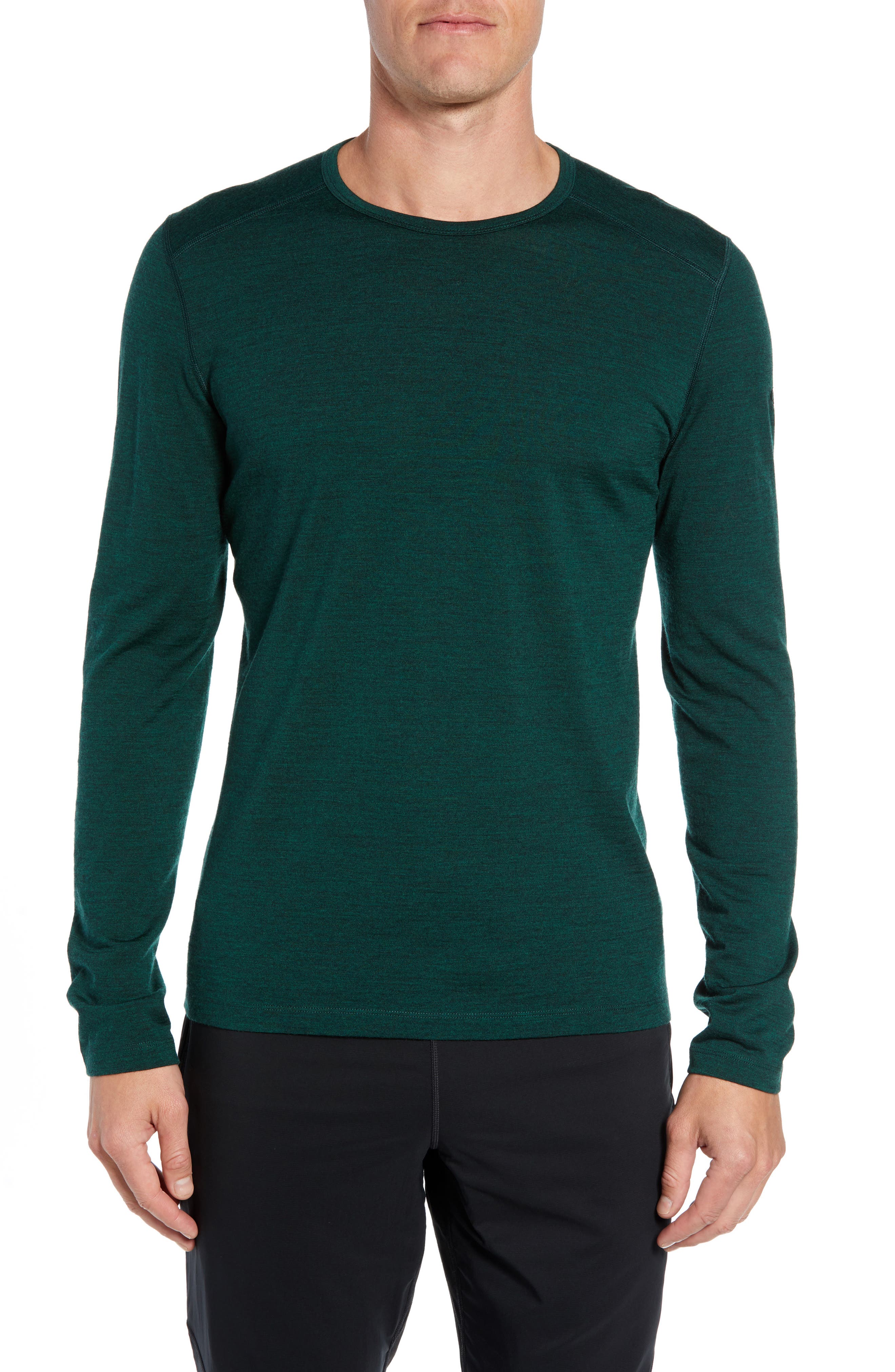 Icebreaker Oasis Slim Merino Wool T-Shirt, Green