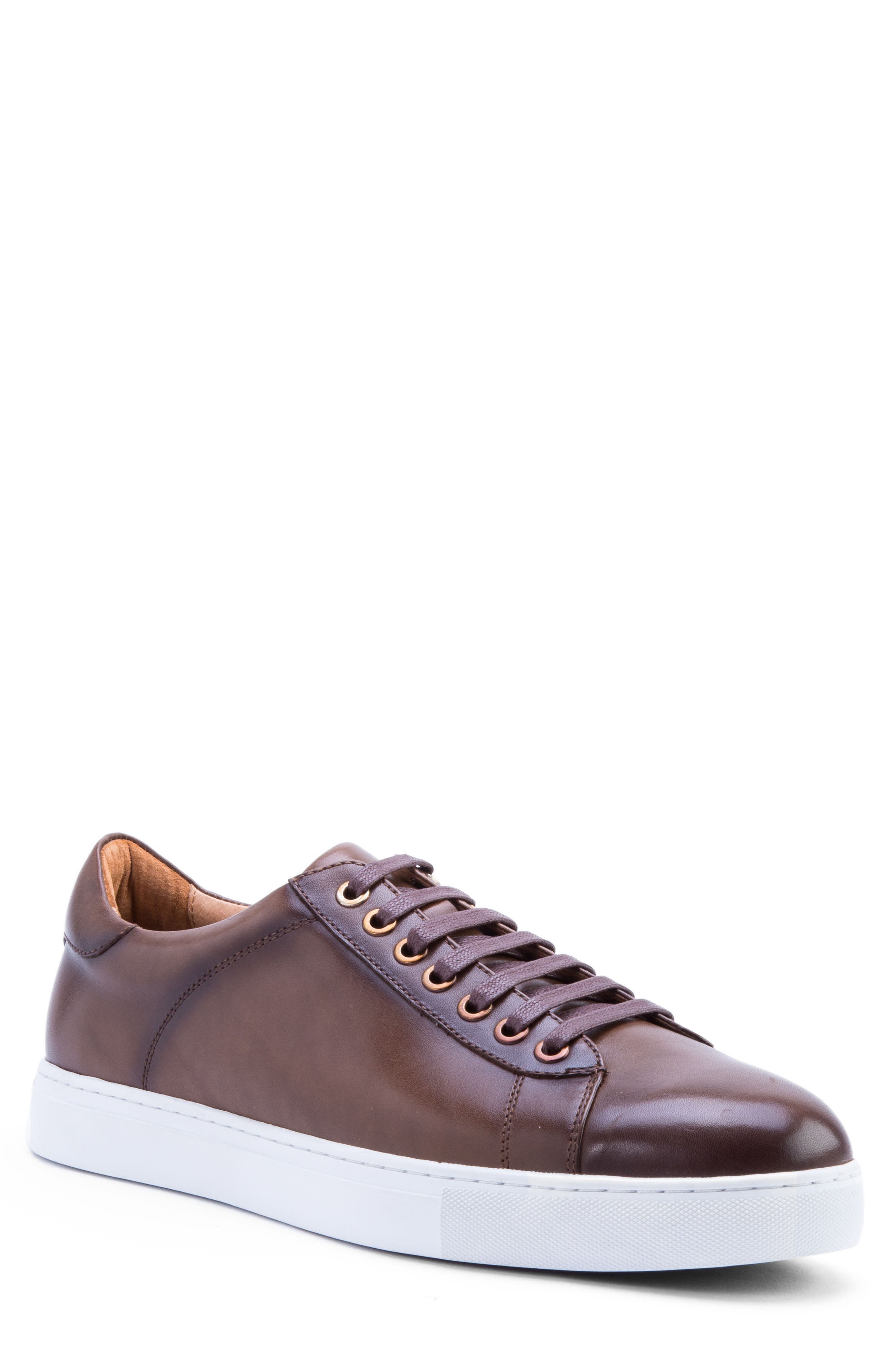 Zanzara Music Low Top Sneaker, Brown