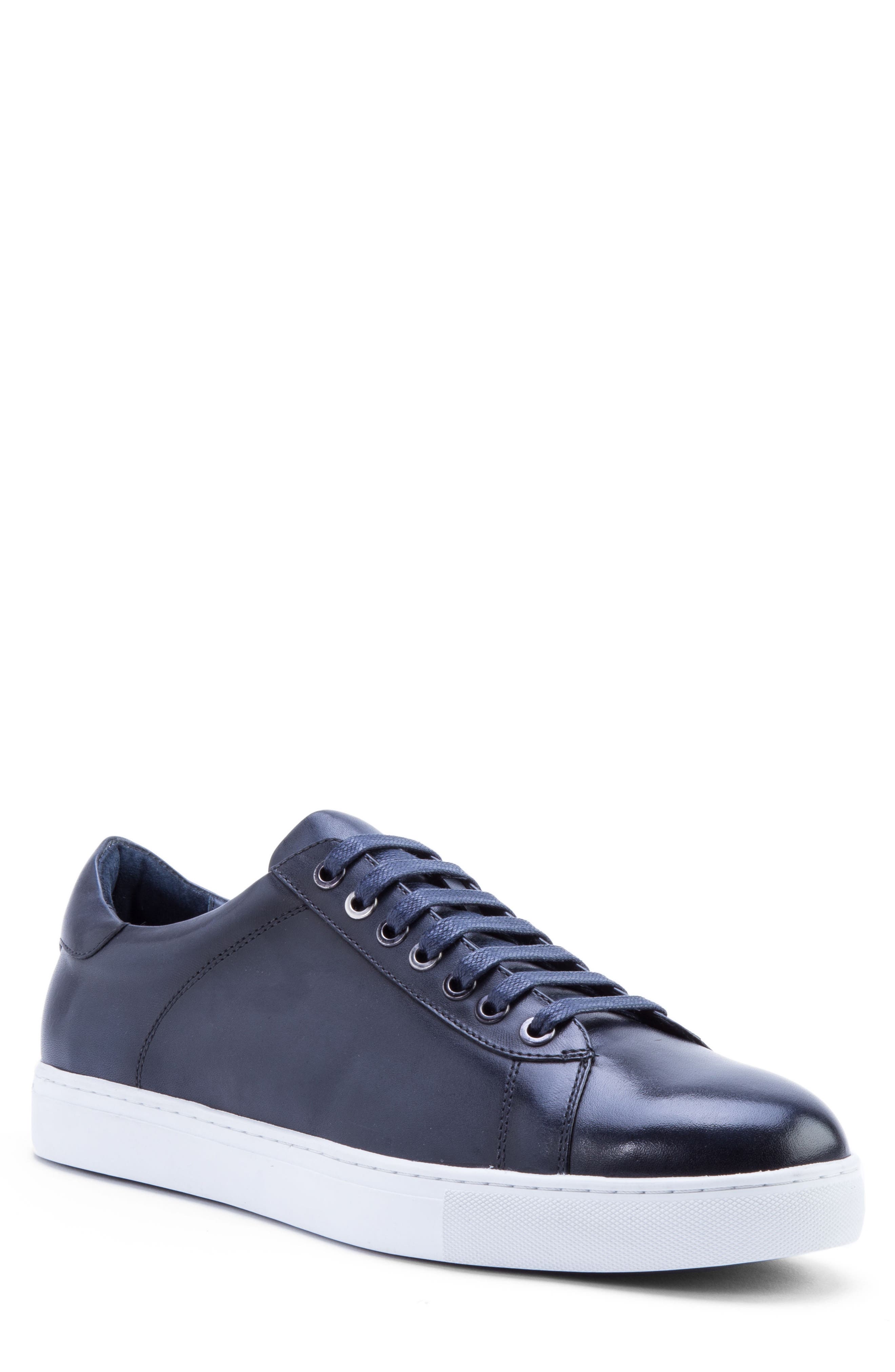Zanzara Music Low Top Sneaker, Blue