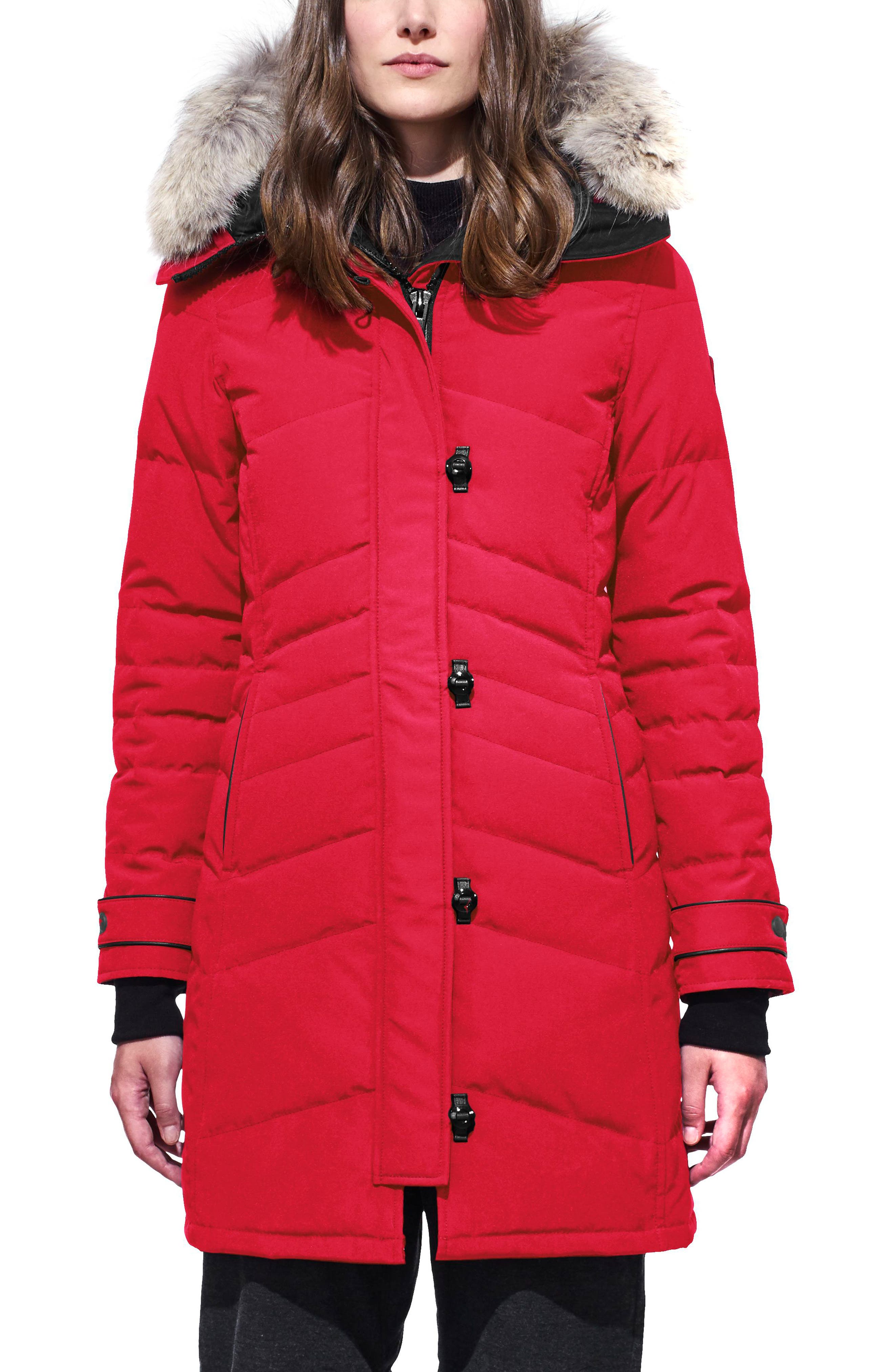 Canada Goose
