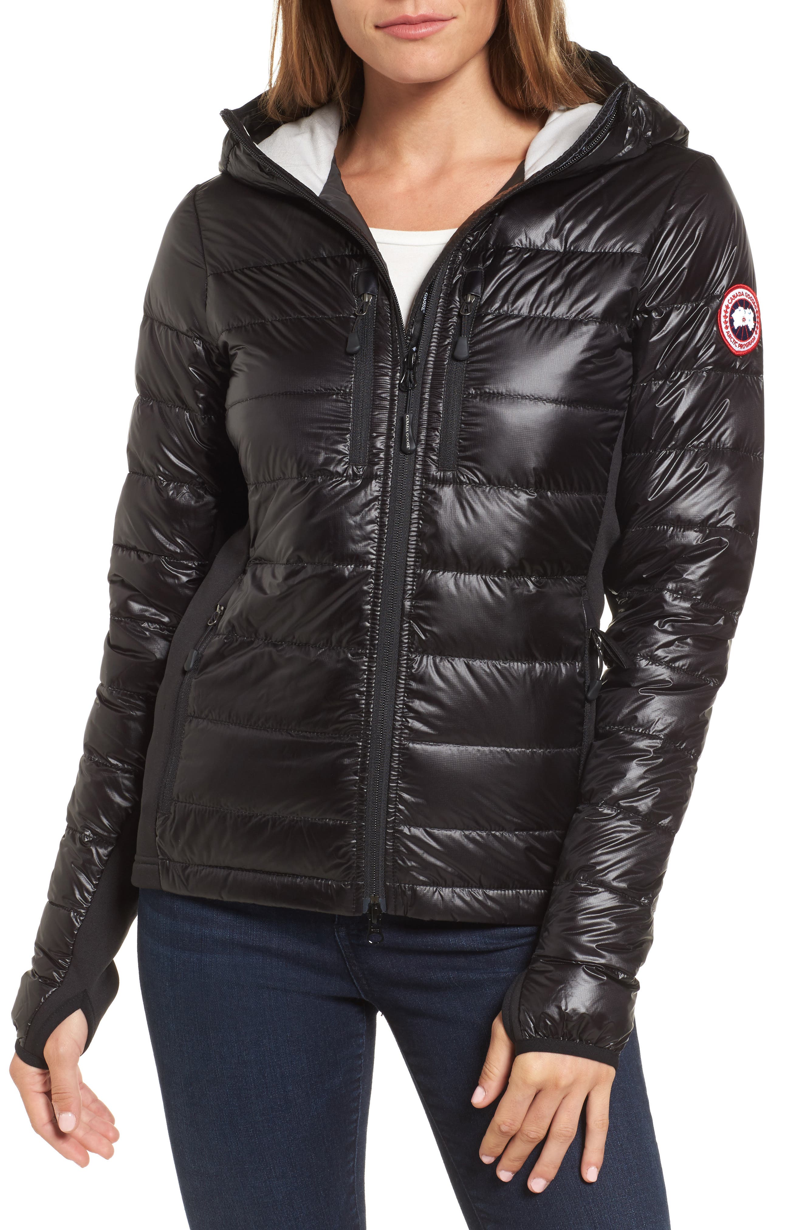 Canada Goose