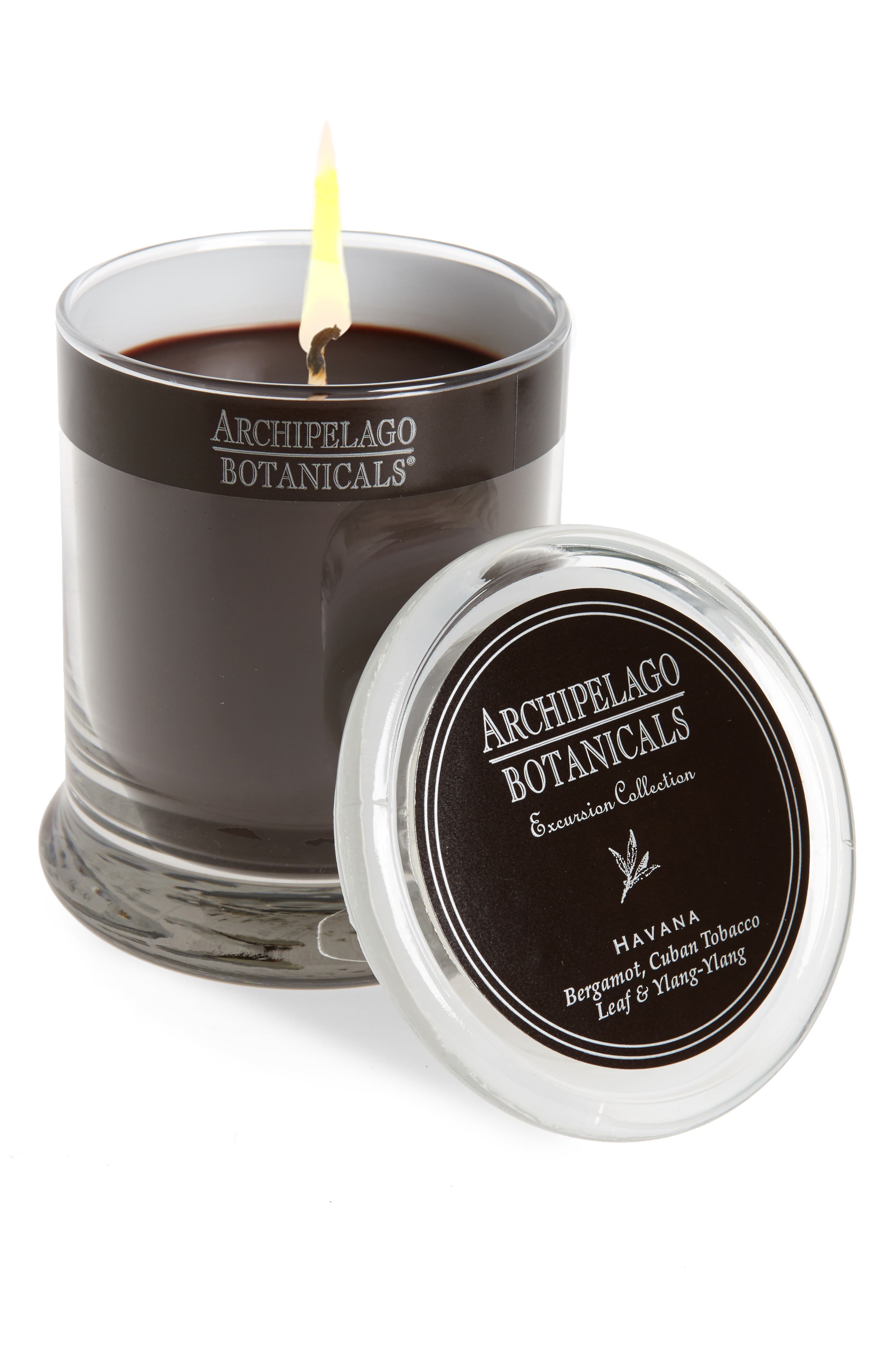 UPC 755167053672 product image for Archipelago Botanicals 'Excursion' Glass Jar Candle Havana One Size | upcitemdb.com