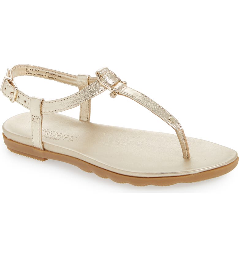 Sperry Saltwater Slingback Sandal In Platinum | ModeSens