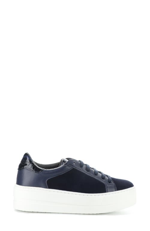 Shop Bos. & Co. Maude Platform Sneaker In Ocean/black Iris