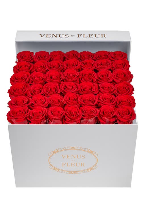 Venus ET Fleur Classic Large Eternity Roses in Red at Nordstrom