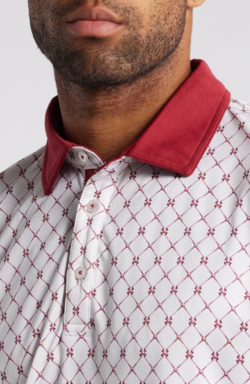 Shop Swannies Franklin Ball & Club Print Golf Polo In Maroon