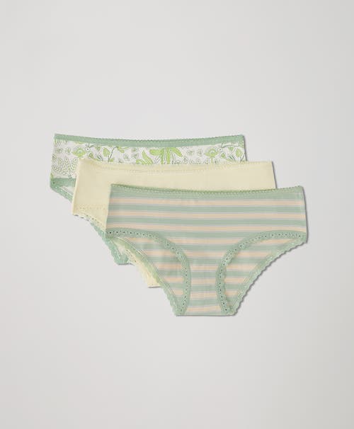 Pact Organic Lace Cheeky Hipster 3-pack In Island Vibes