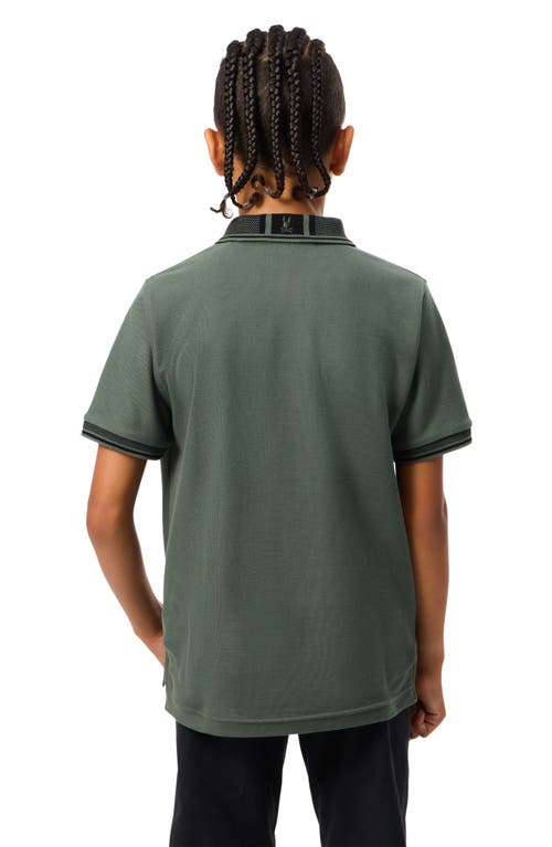 Shop Psycho Bunny Kids' Bradford Cotton Polo In 022 Urban Chic