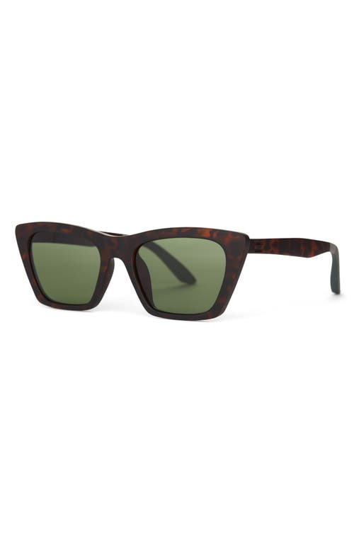 Toms Sahara 54mm Cat Eye Sunglasses In Matte Blonde Tortoise