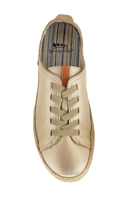 Spring Step Eloya Espadrille Sneaker In Gold Metallic