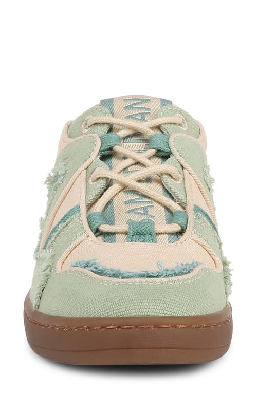 Sam Edelman Jayne Low Top Sneaker In Washed Palm/linen