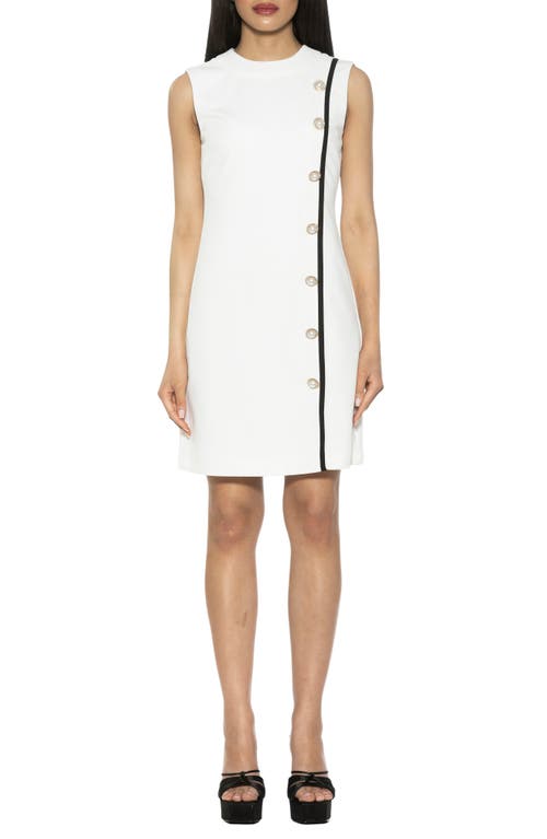 Alexia Admor Armani Shift Dress In Ivory