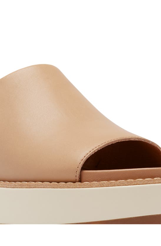 Shop Sorel Joanie Iv Slide Wedge Sandal In Honest Beige/ Gum