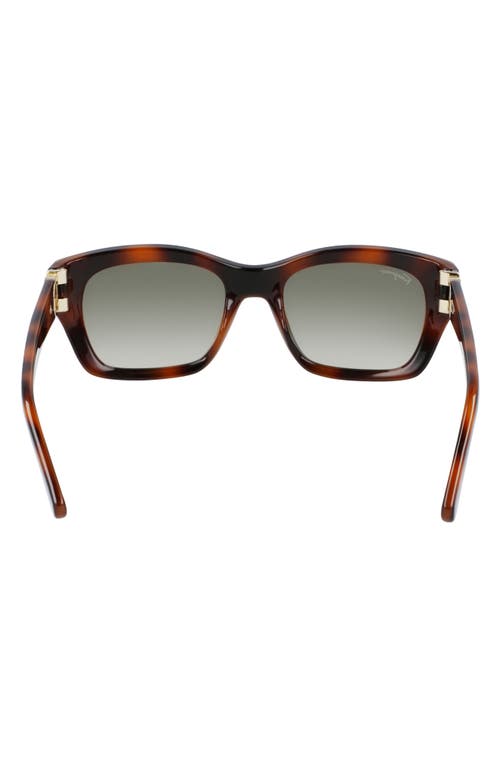 Ferragamo 53mm Rectangular Sunglasses In Tortoise/khaki