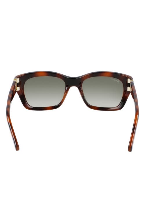 Shop Ferragamo 53mm Rectangular Sunglasses In Tortoise/khaki