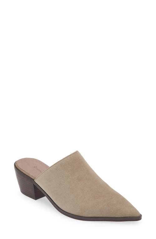 Cellia Pointed Toe Mule in Taupe Suede