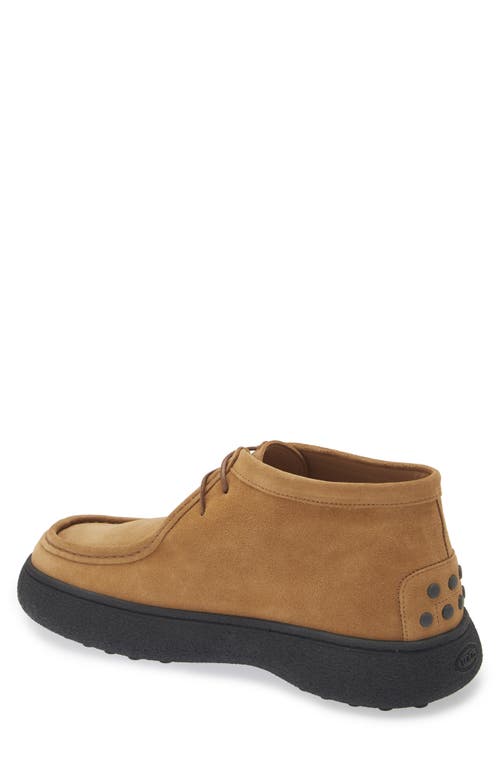 Shop Tod's Suede Chukka Boot In Bronzo Medio