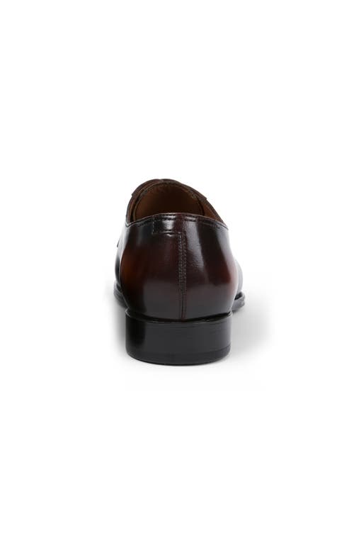 Anthony Veer Turin Oxford In Antique Tan