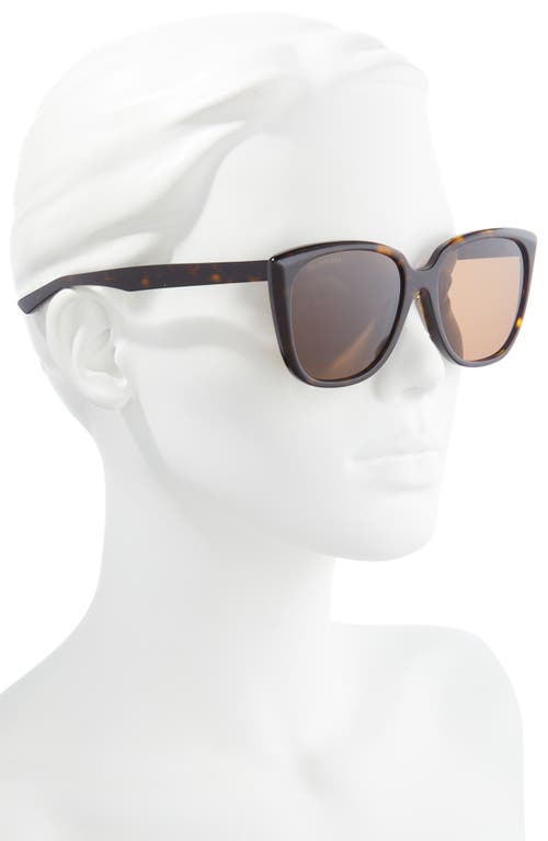 Balenciaga 57mm Square Sunglasses In Havana Havana Brown