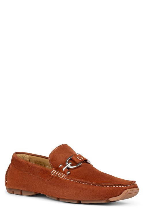 Shop Donald Pliner Moc Toe Driving Loafer In Cognac