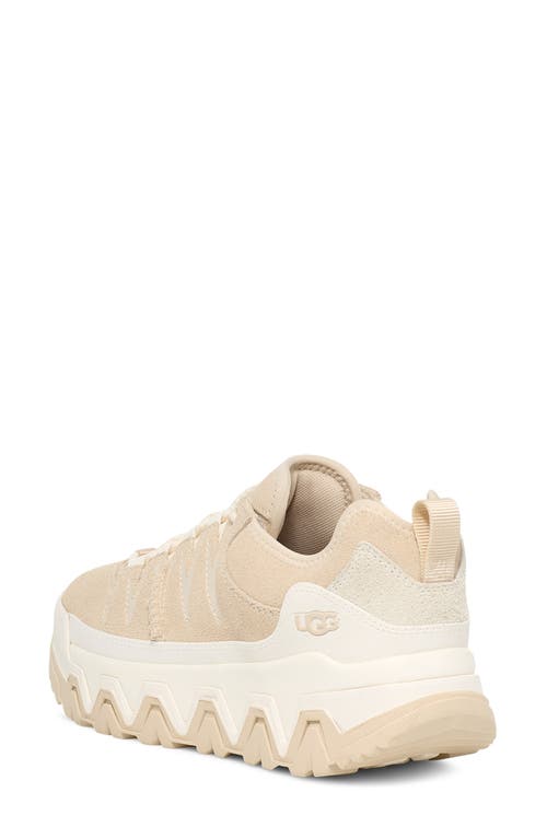 Shop Ugg(r) Captrail Low Sneaker In Light Beige