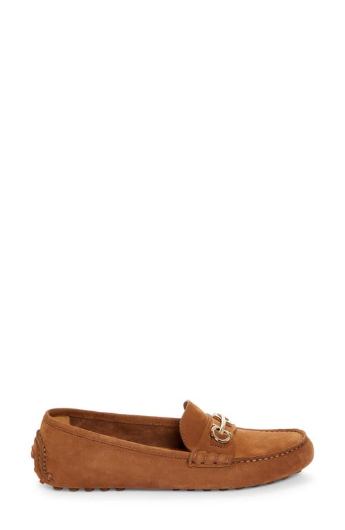 Shop Ferragamo Odilia Driving Loafer In Cuoio Nabuck