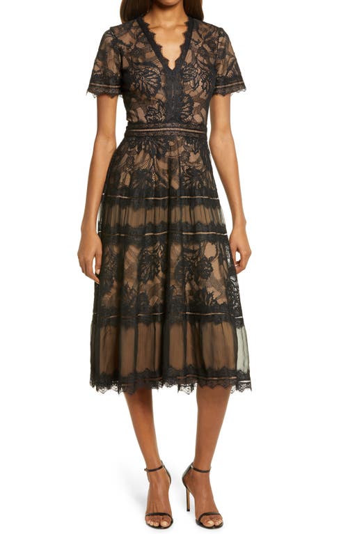 Lace & Mesh Midi Cocktail Dress in Black/Nude