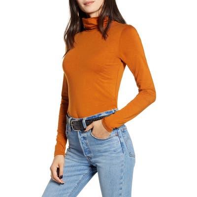 Treasure & Bond Slim Fit Turtleneck Top, Brown