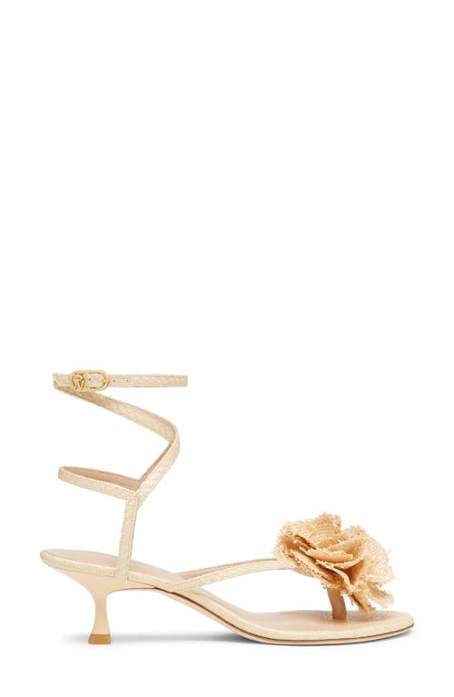 Shop Stuart Weitzman Belize 50 Sandal In Natural.