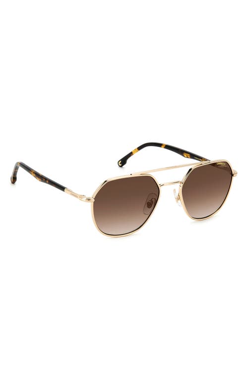 Shop Carrera Eyewear 53mm Round Sunglasses In Gold Havana/brown