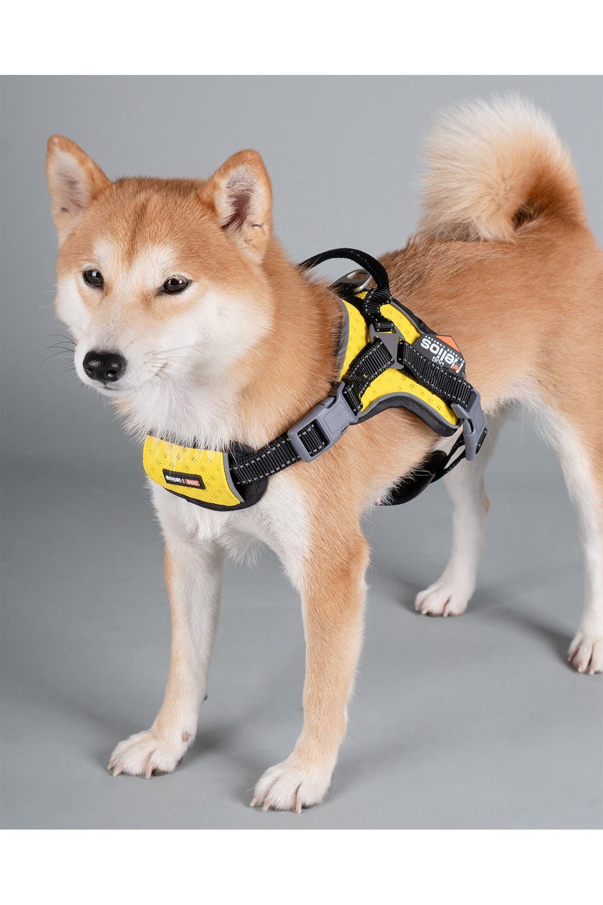 the range dog harness