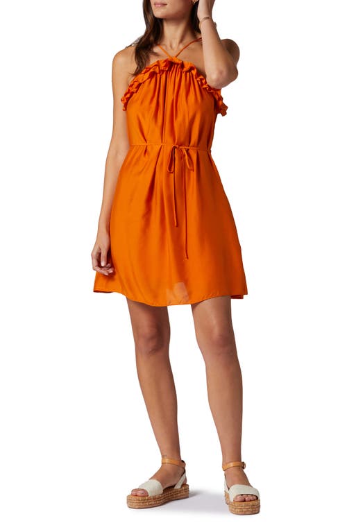 Shop Joie Uma Halter Neck Minidress In Hawaii Sunset