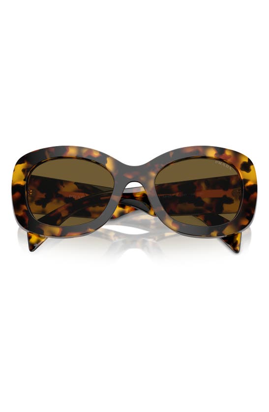 Prada 54mm Oval Polarized Sunglasses In Dark Brown