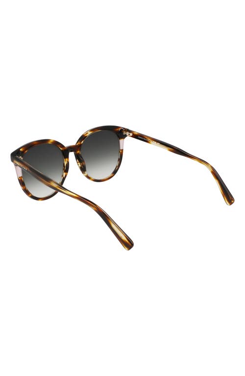 Longchamp Heritage 55mm Gradient Round Sunglasses In Striped Brown