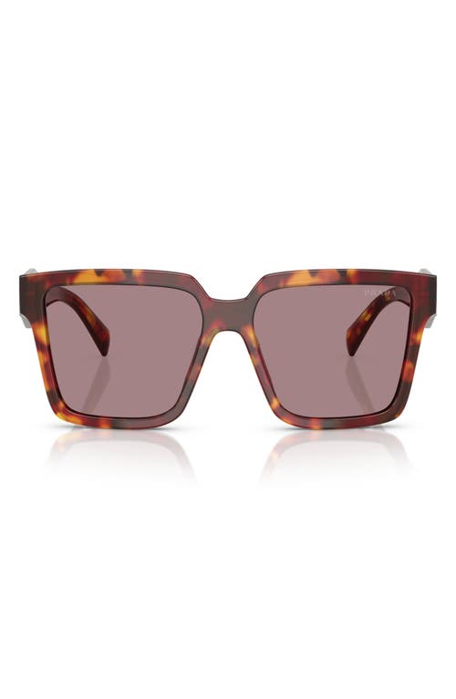 Prada 56mm Square Sunglasses In Purple
