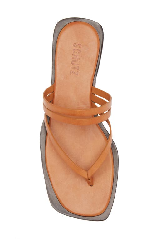 Shop Schutz Rania Strappy Flip Flop In Cuoio Brown