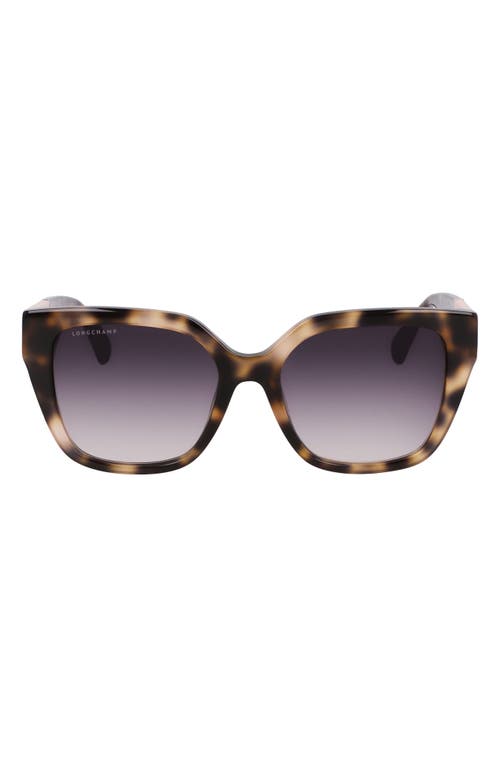 Shop Longchamp Roseau 54mm Butterfly Sunglasses In Havana