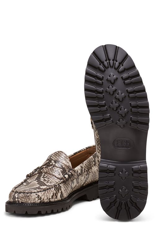 Shop G.h.bass Larson Snakeskin Embossed Penny Loafer In Natural Multi