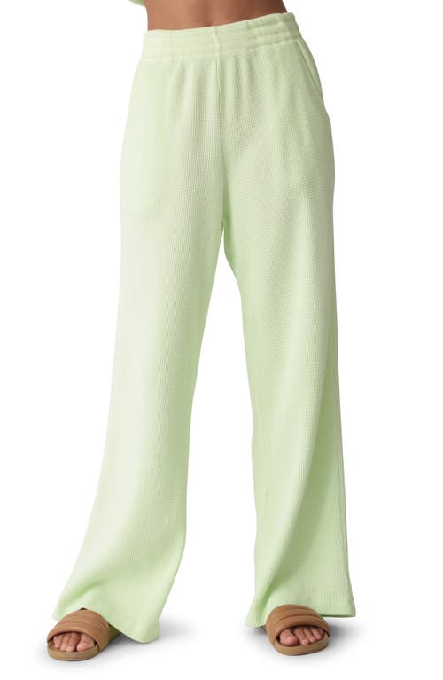 Tanner Waffle Knit Cotton Lounge Pants in Lime
