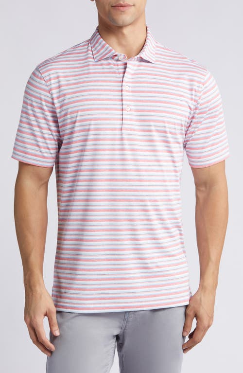 Harty Stripe Performance Golf Polo in Sun Kissed