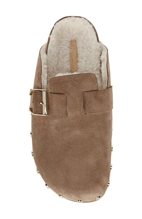 VERONICA BEARD VERONICA BEARD FERN 2 GENUINE SHEARLING CLOG