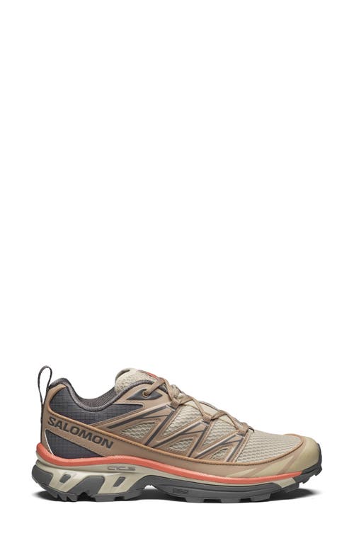 Shop Salomon Gender Inclusive Xt-6 Expanse Sneaker In Natural/cement/plum Kitt