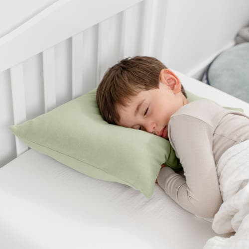 Comfy Cubs Toddler Pillow With Soft Cotton Pillowcase In Sage