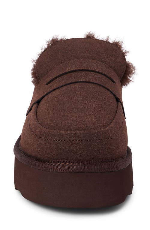 Shop Coconuts By Matisse Stowe Faux Fur Platform Loafer Mule In Chocolate