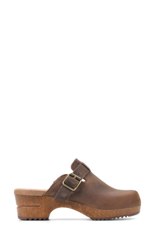 White Mountain Footwear White Mountain Behold Suede Platform Clog In Brown/leather