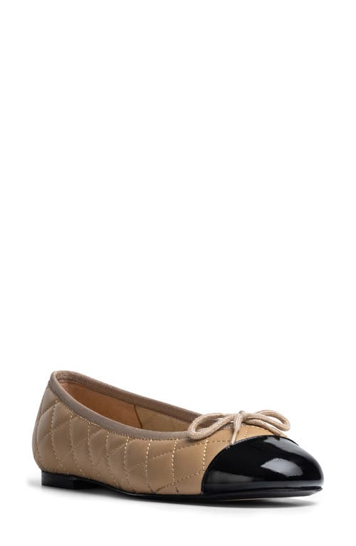Jon Josef Belle Quilted Ballerina Flat In Black/tan Combo